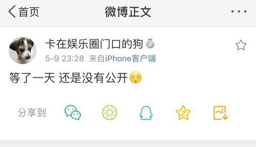 吃瓜爆料原声在线听,独家音频盛宴，带你直击事件现场